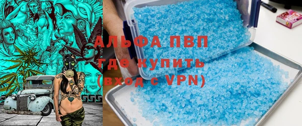 сатива Белокуриха