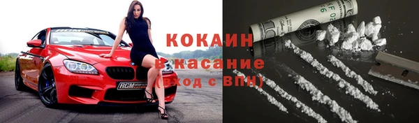 сатива Белокуриха