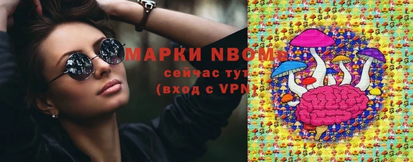сатива Белокуриха