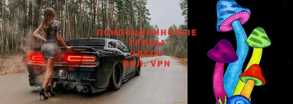 сатива Белокуриха