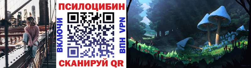 Псилоцибиновые грибы мухоморы  купить наркотик  Янаул 